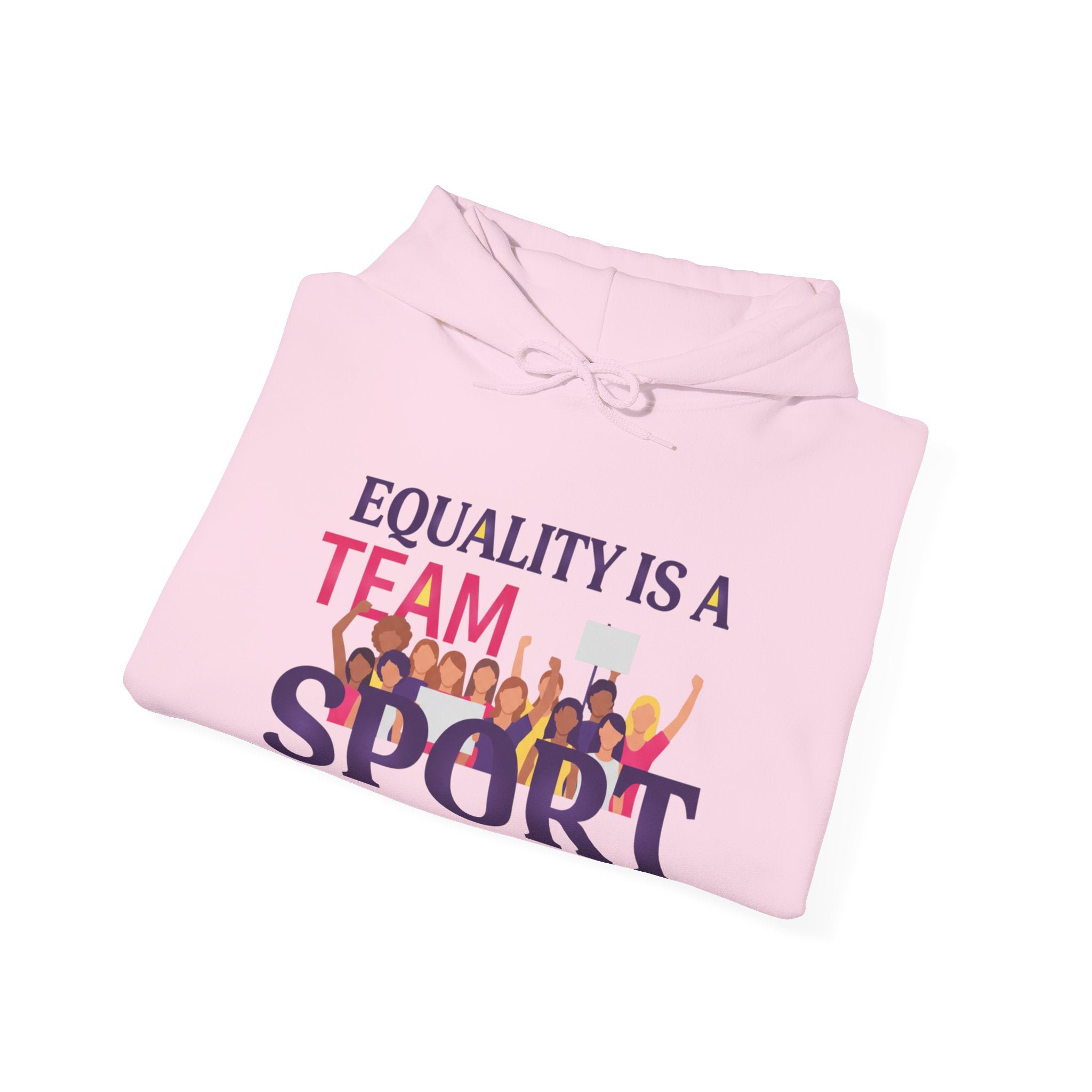 Equality Is a Team Sport Hoodie — Inclusive Team Unity Sweatshirt