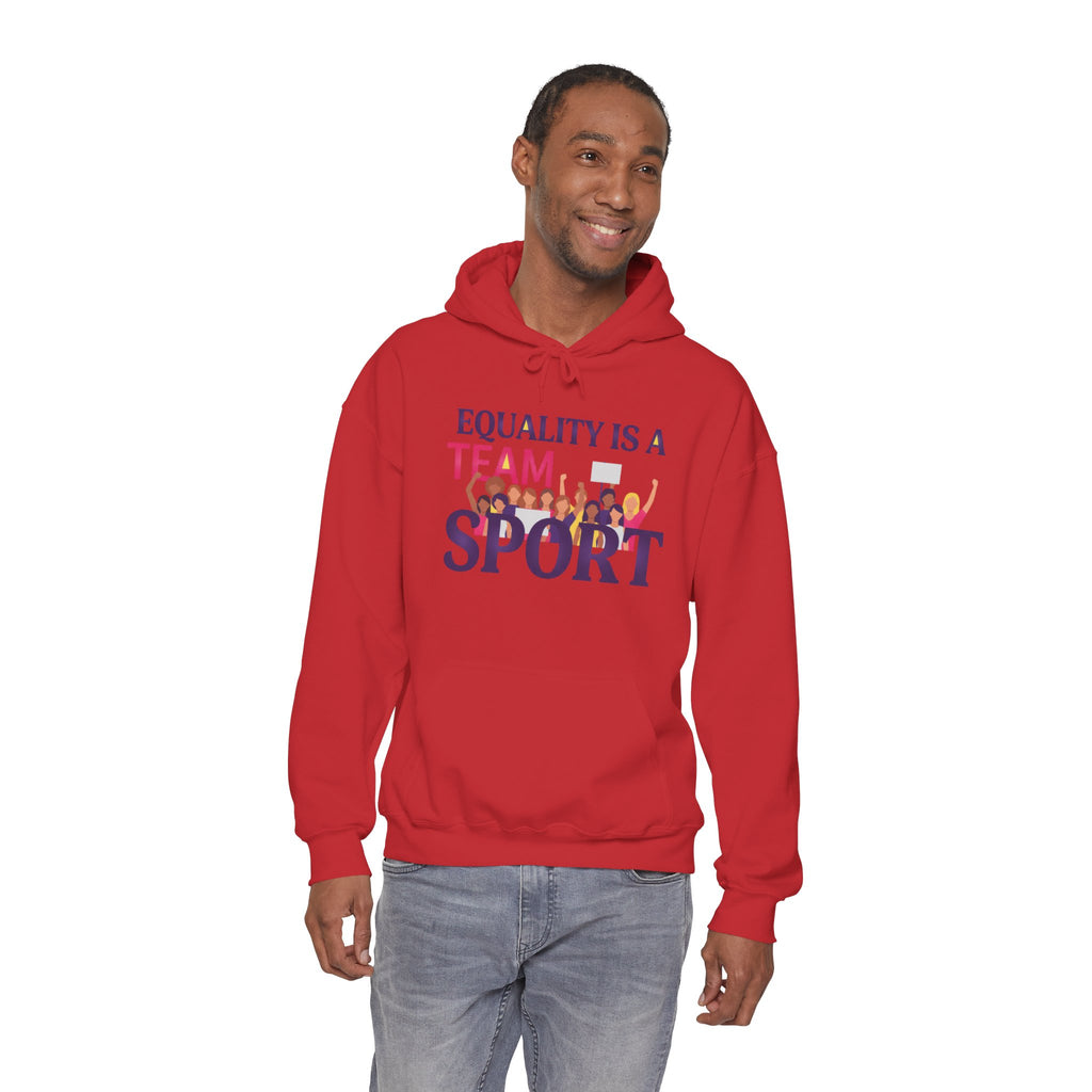 Equality Is a Team Sport Hoodie — Inclusive Team Unity Sweatshirt