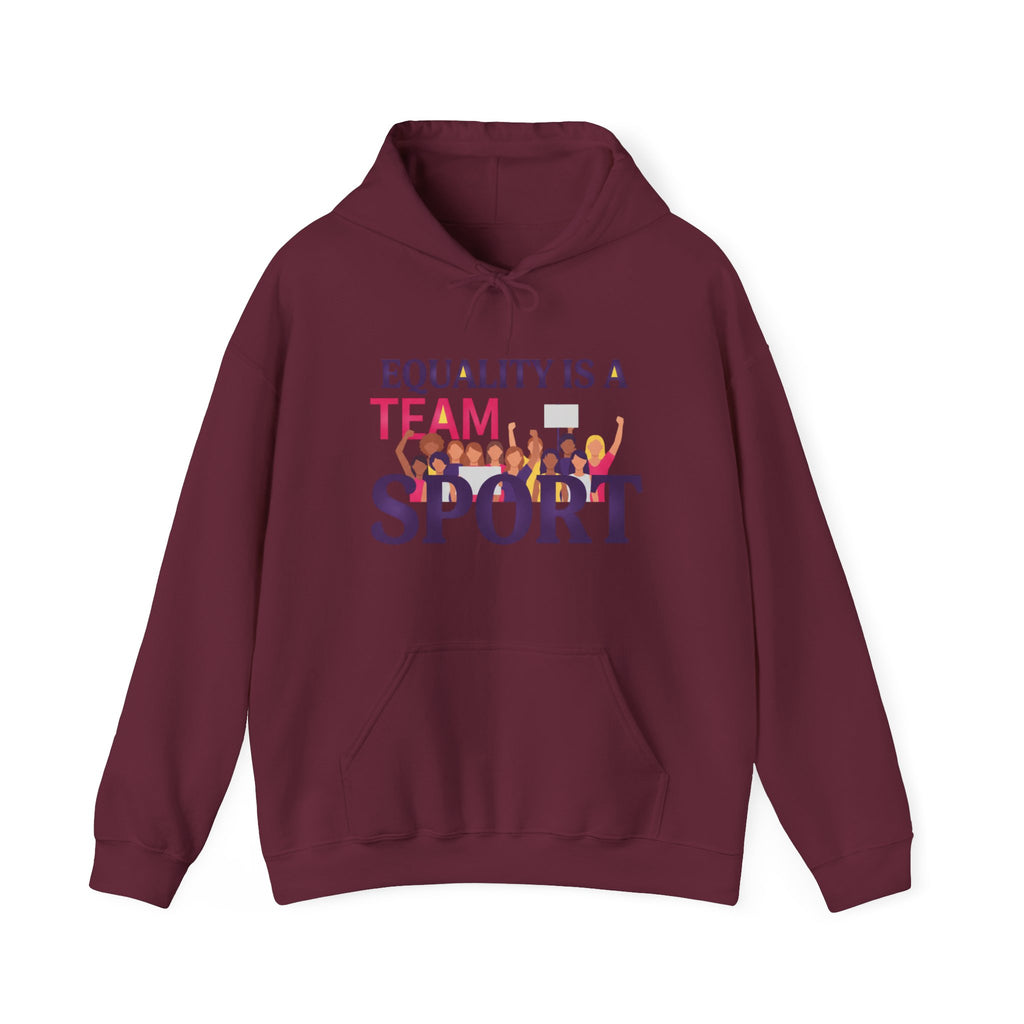 Equality Is a Team Sport Hoodie — Inclusive Team Unity Sweatshirt
