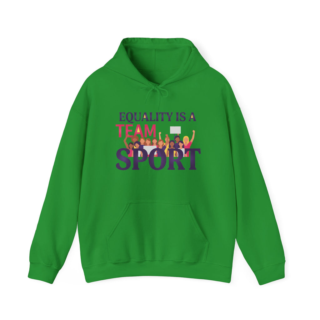 Equality Is a Team Sport Hoodie — Inclusive Team Unity Sweatshirt