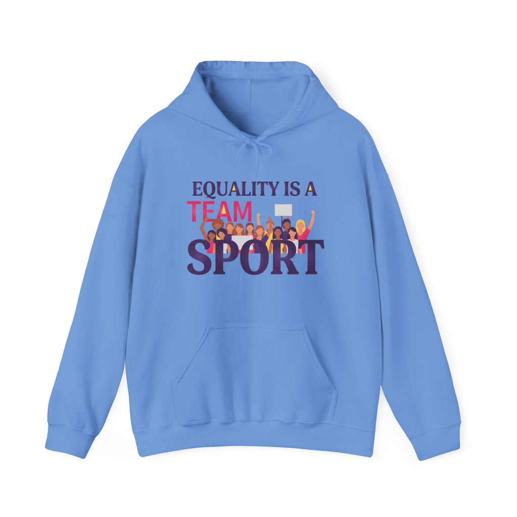Equality Is a Team Sport Hoodie — Inclusive Team Unity Sweatshirt