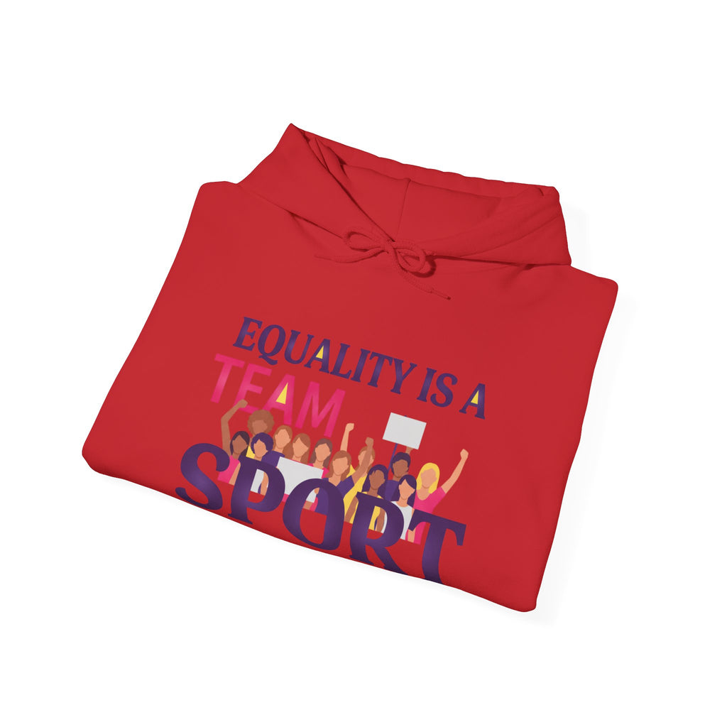Equality Is a Team Sport Hoodie — Inclusive Team Unity Sweatshirt