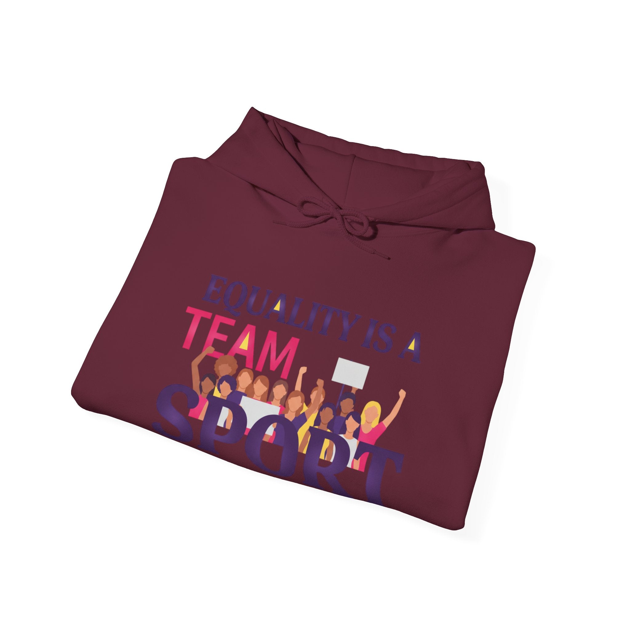 Equality Is a Team Sport Hoodie — Inclusive Team Unity Sweatshirt