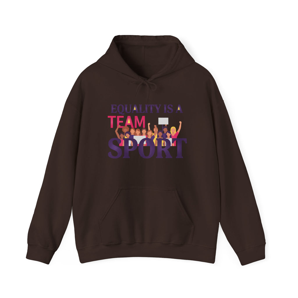 Equality Is a Team Sport Hoodie — Inclusive Team Unity Sweatshirt