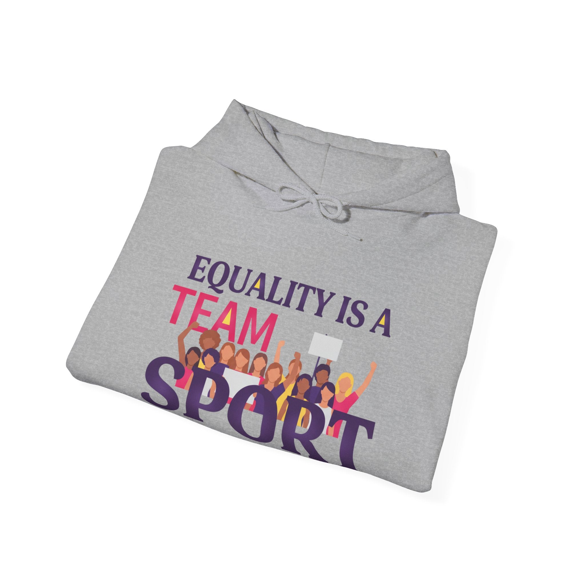 Equality Is a Team Sport Hoodie — Inclusive Team Unity Sweatshirt