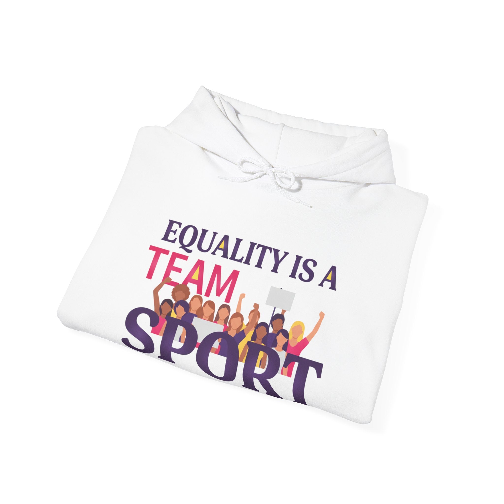 Equality Is a Team Sport Hoodie — Inclusive Team Unity Sweatshirt