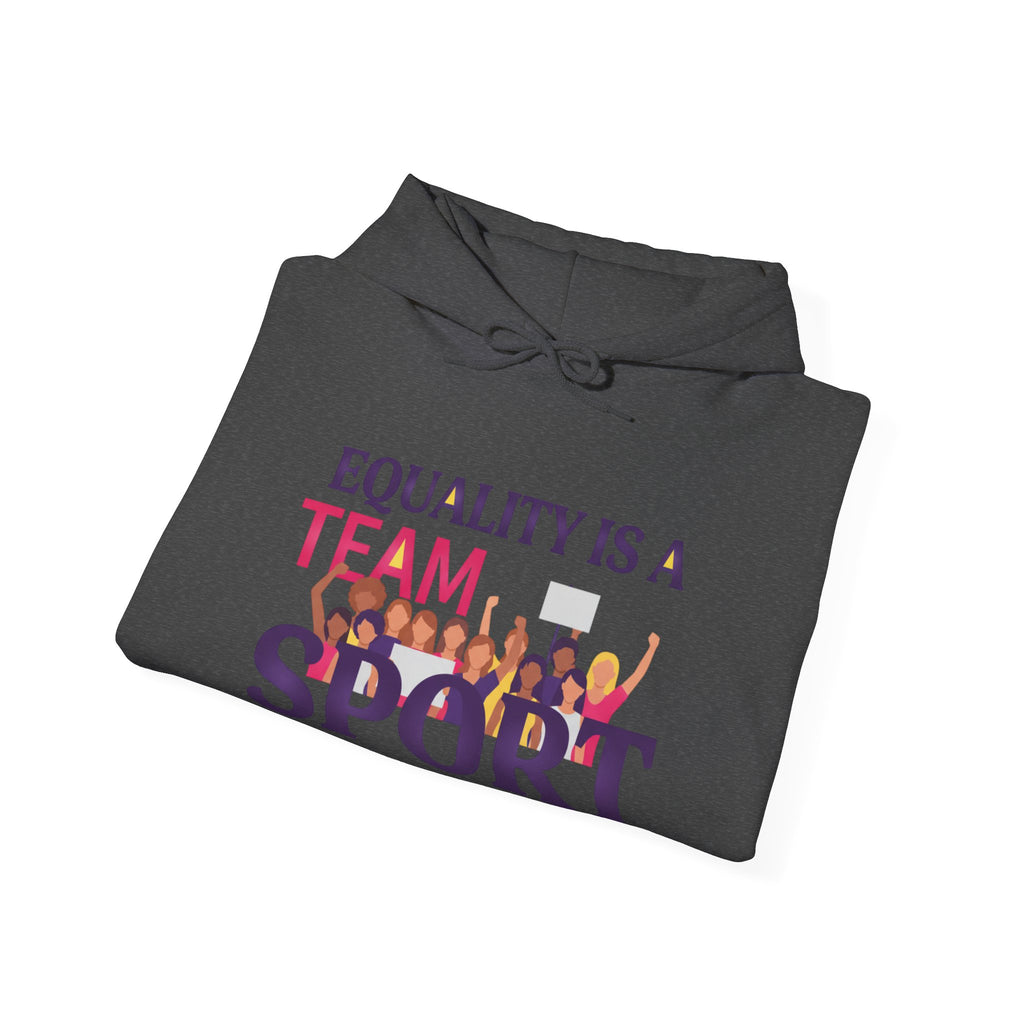 Equality Is a Team Sport Hoodie — Inclusive Team Unity Sweatshirt