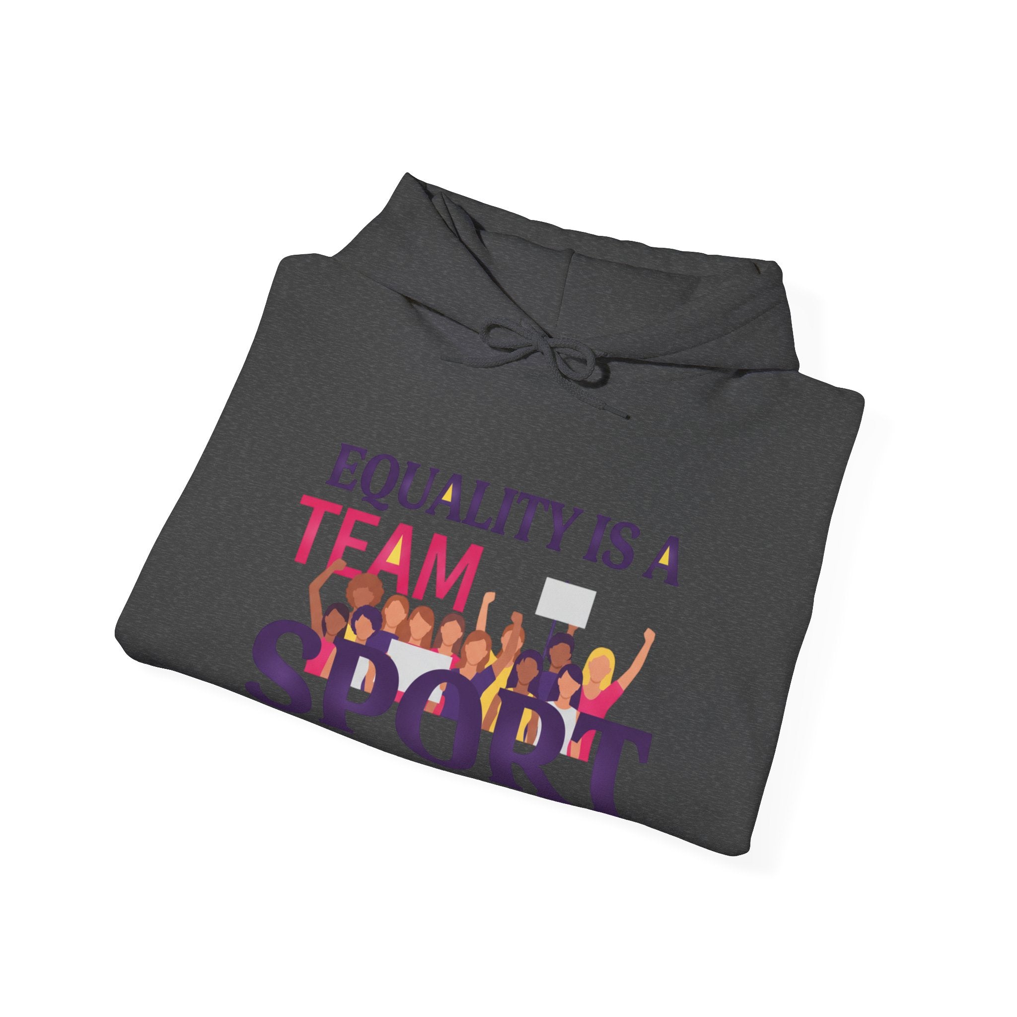 Equality Is a Team Sport Hoodie — Inclusive Team Unity Sweatshirt