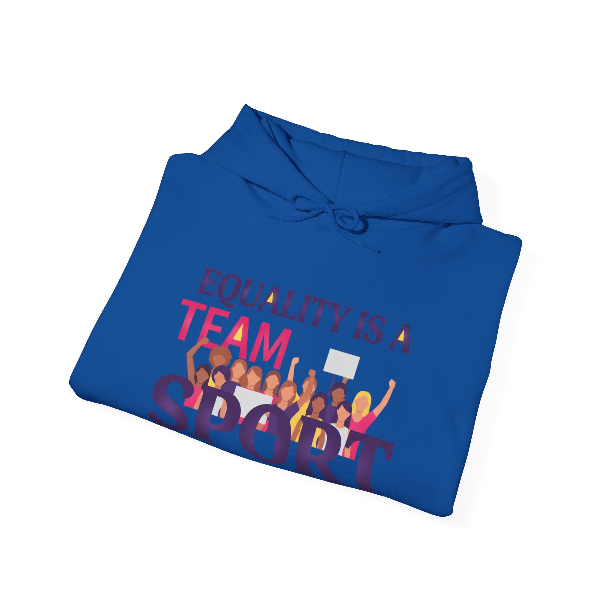 Equality Is a Team Sport Hoodie — Inclusive Team Unity Sweatshirt