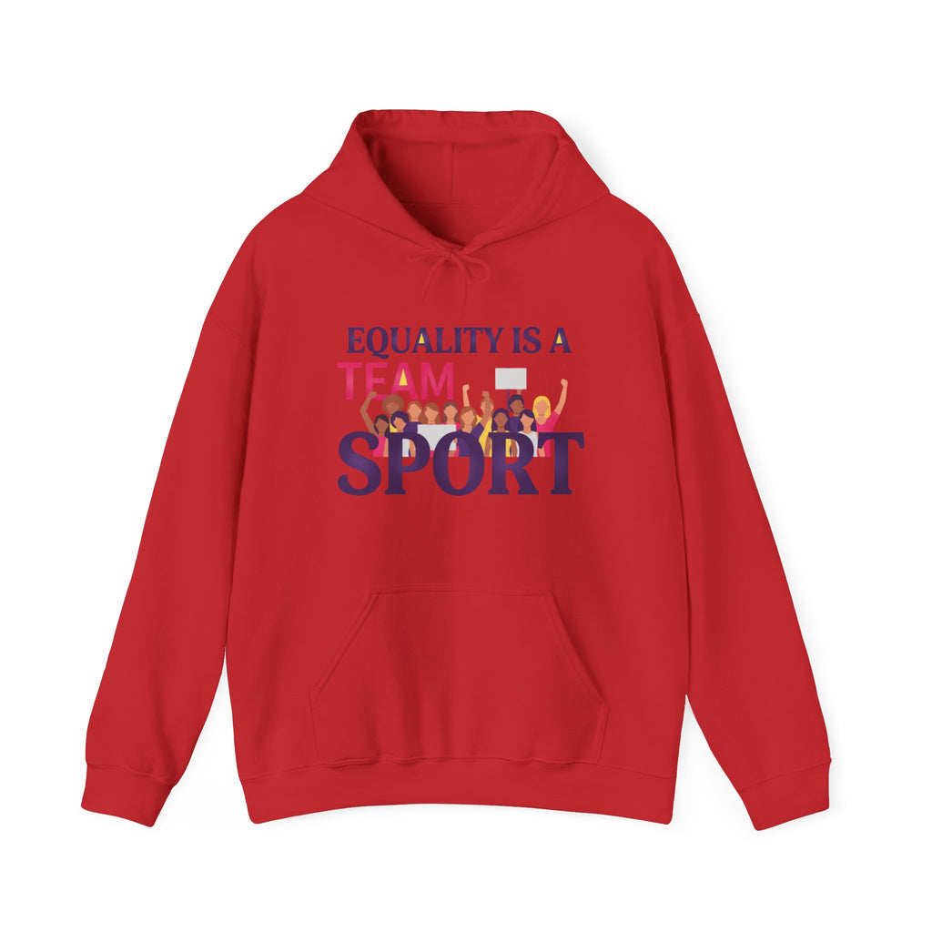 Equality Is a Team Sport Hoodie — Inclusive Team Unity Sweatshirt