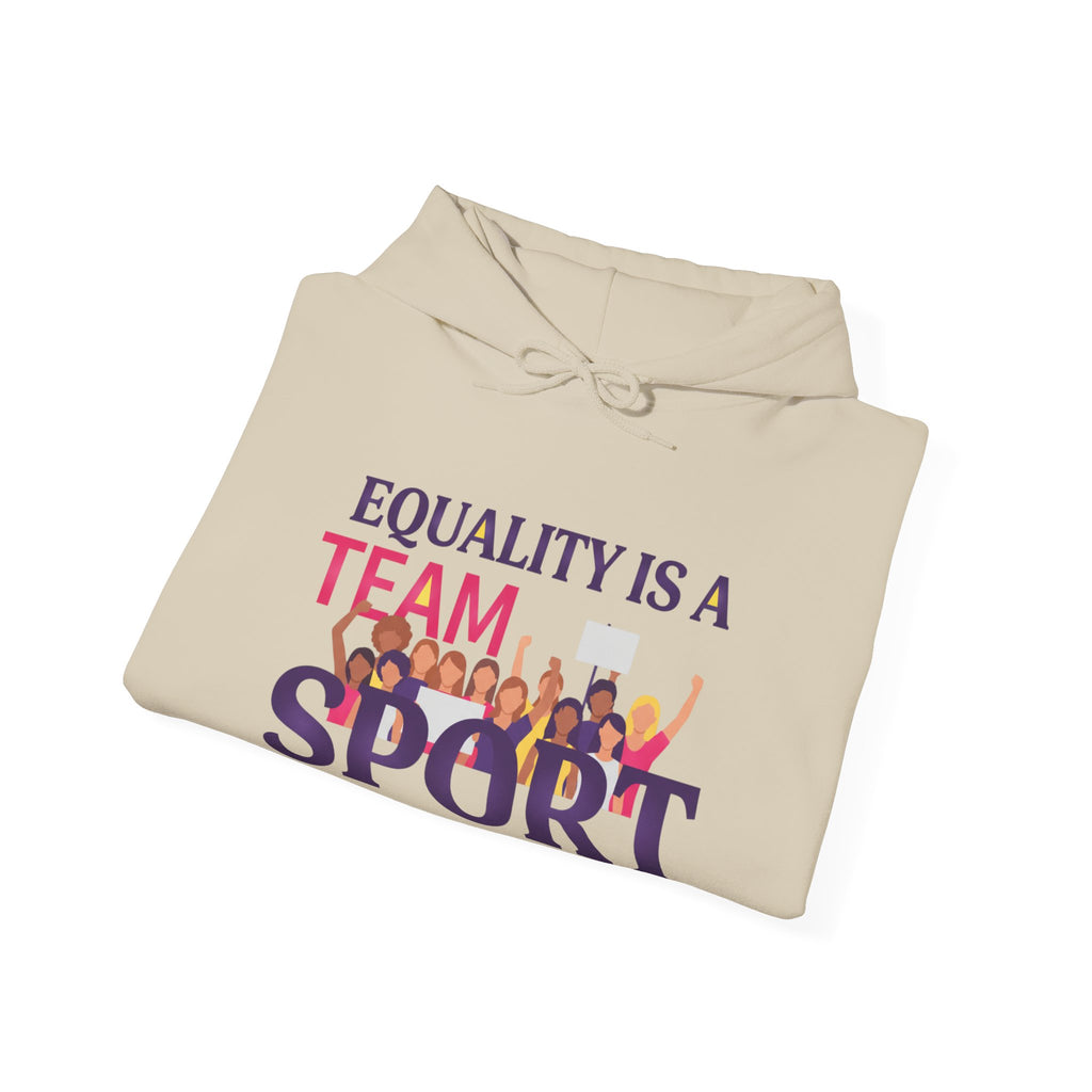 Equality Is a Team Sport Hoodie — Inclusive Team Unity Sweatshirt
