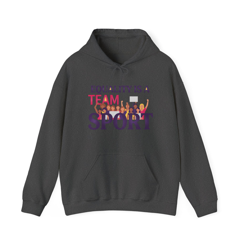 Equality Is a Team Sport Hoodie — Inclusive Team Unity Sweatshirt