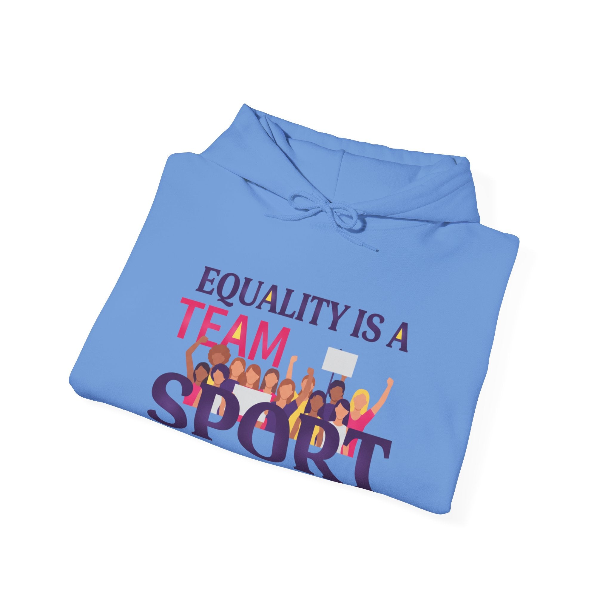 Equality Is a Team Sport Hoodie — Inclusive Team Unity Sweatshirt