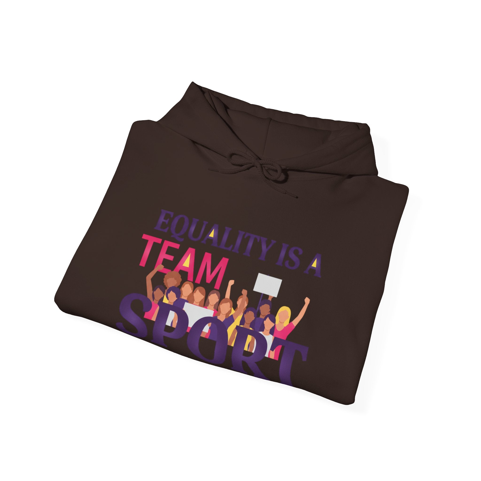 Equality Is a Team Sport Hoodie — Inclusive Team Unity Sweatshirt