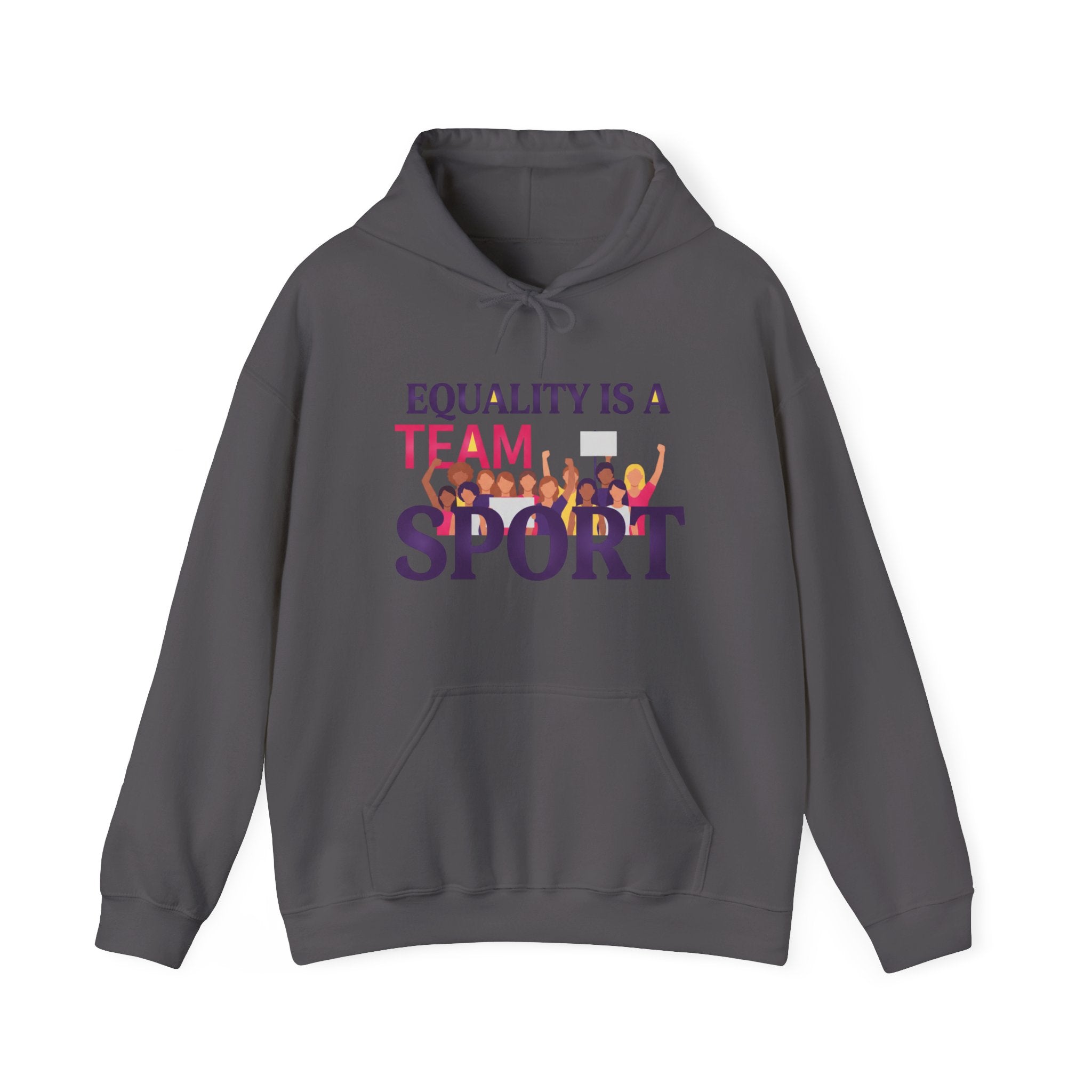 Equality Is a Team Sport Hoodie — Inclusive Team Unity Sweatshirt
