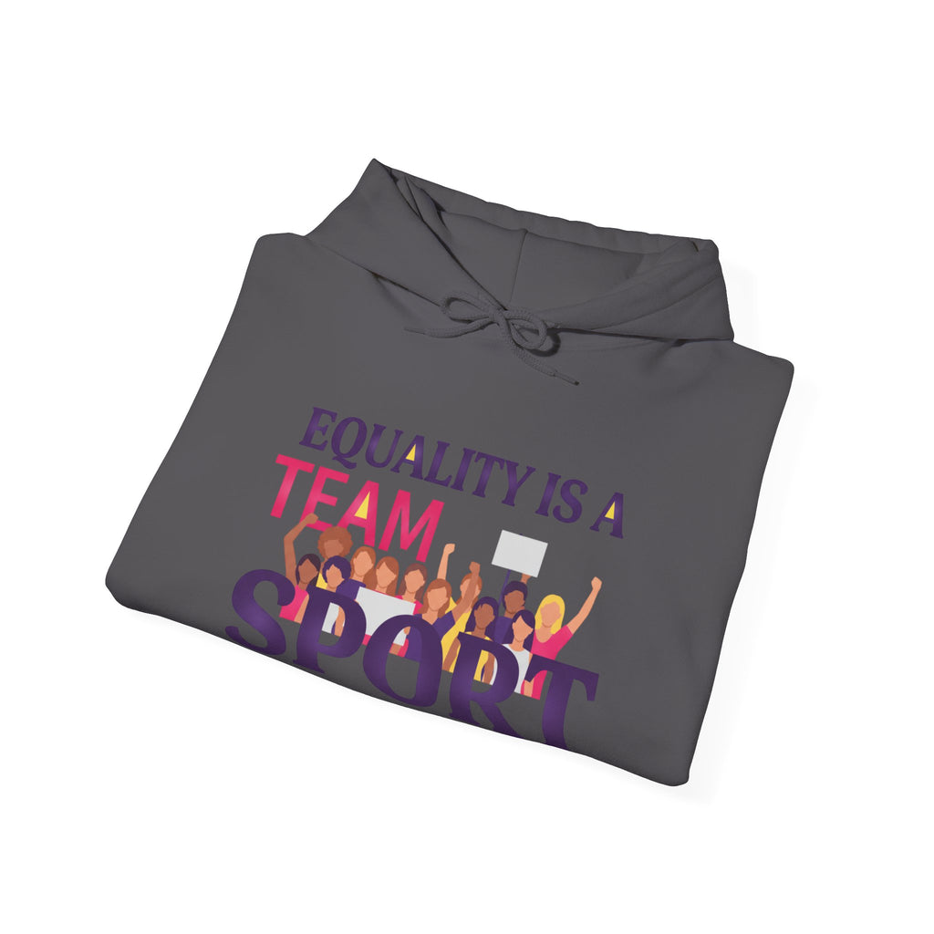 Equality Is a Team Sport Hoodie — Inclusive Team Unity Sweatshirt
